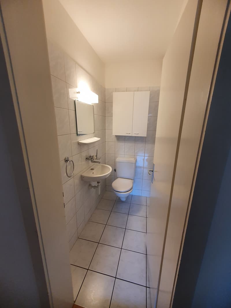 Helle und geräumige 4.5-Zimmerwohnung in Allschwil (17)