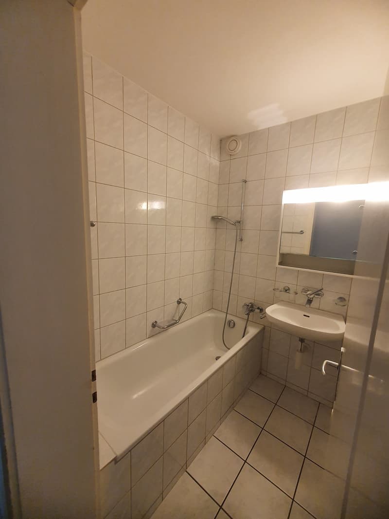 Helle und geräumige 4.5-Zimmerwohnung in Allschwil (15)