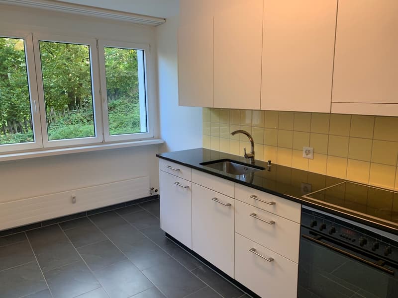 Charmante 2-Zimmerwohnung im Grünen - Ruhige Lage in Riehen (9)