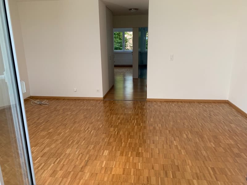 Charmante 2-Zimmerwohnung im Grünen - Ruhige Lage in Riehen (3)