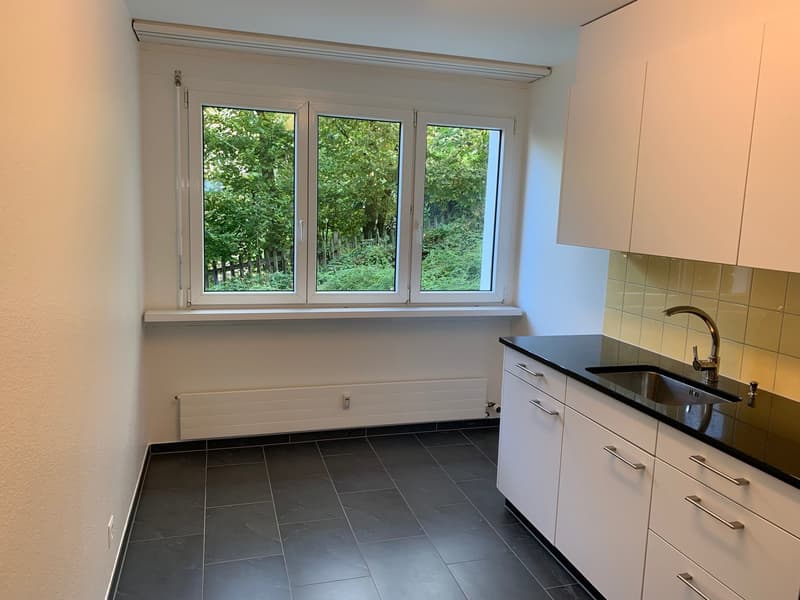 Charmante 2-Zimmerwohnung im Grünen - Ruhige Lage in Riehen (11)