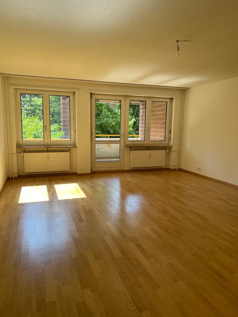 Helle Wohnung im ruhigen Zollweiden-Quartier mit Balkon (7)