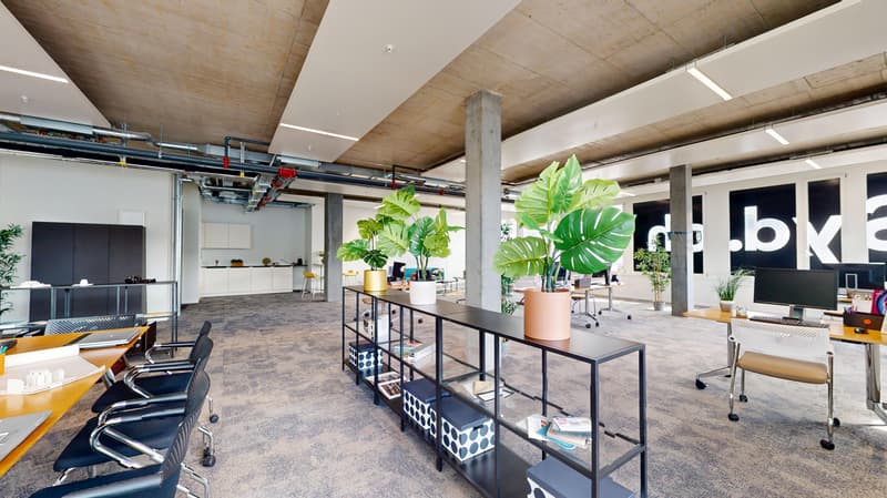 Wo Ideen Raum finden - moderne Büroflächen mit Charakter und Perspektive (4)