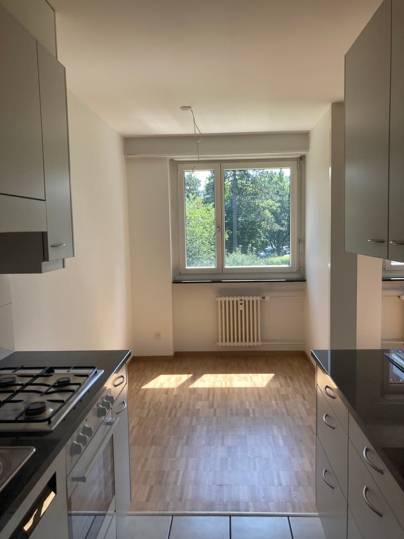Nachmieter gesucht - attraktive 3.5-Zimmer-Wohnung (5)