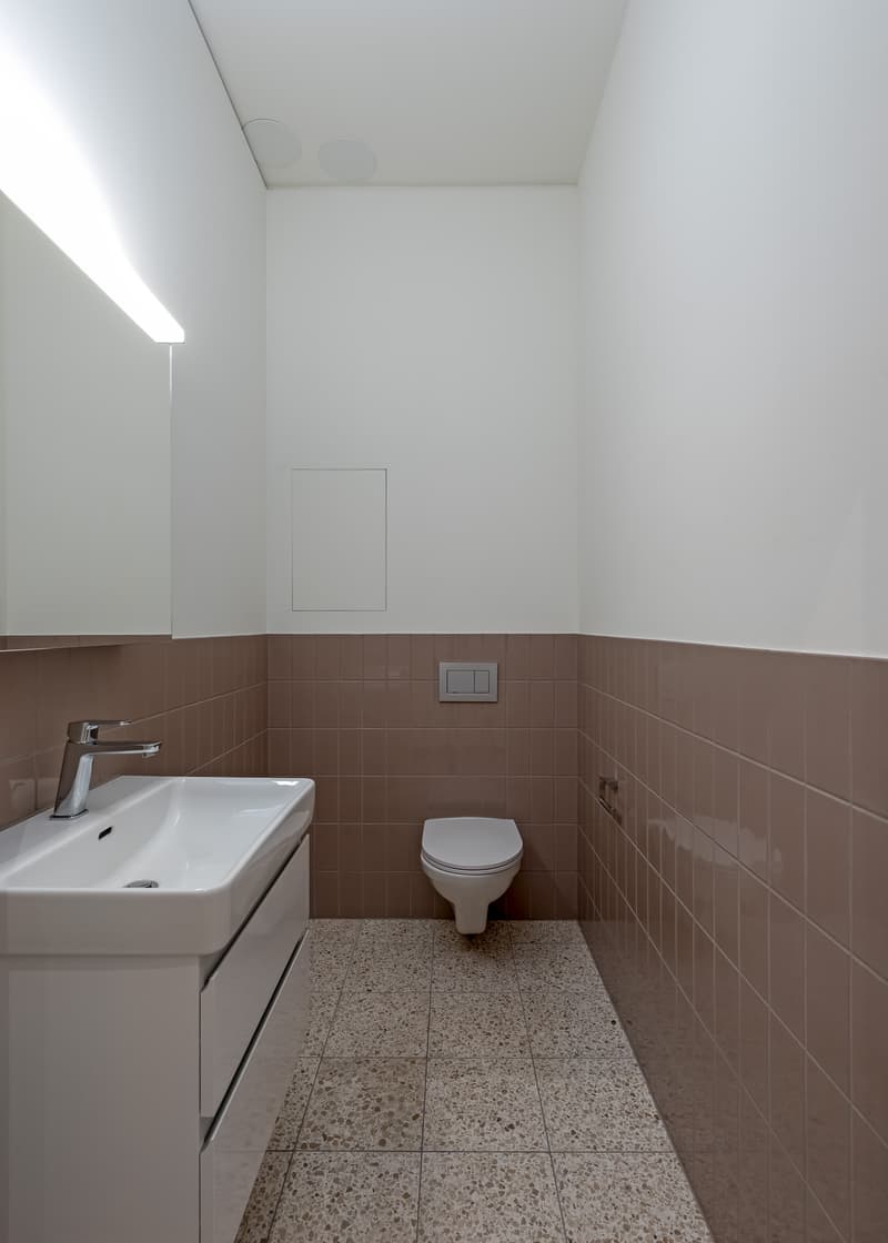 Moderne Wohnung direkt am Dreispitz (6)