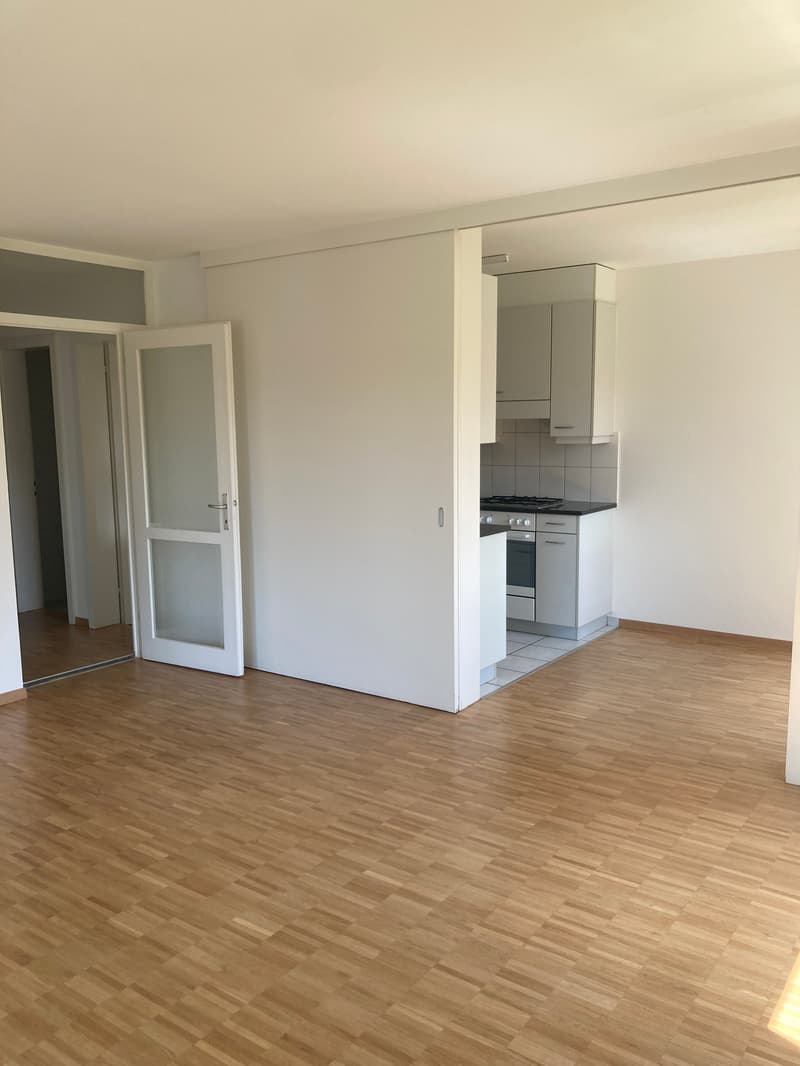 Nachmieter gesucht - attraktive befristete 3.5-Zimmer-Wohnung (2)