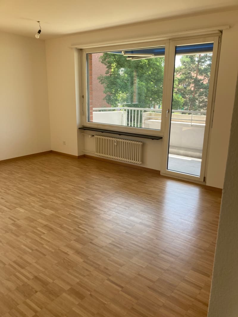 Nachmieter gesucht - attraktive befristete 3.5-Zimmer-Wohnung (4)