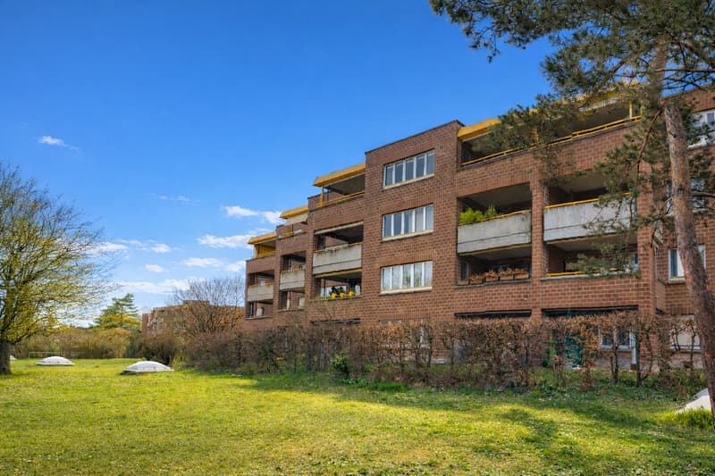 Helle Wohnung im ruhigen Zollweiden-Quartier mit Balkon (1)