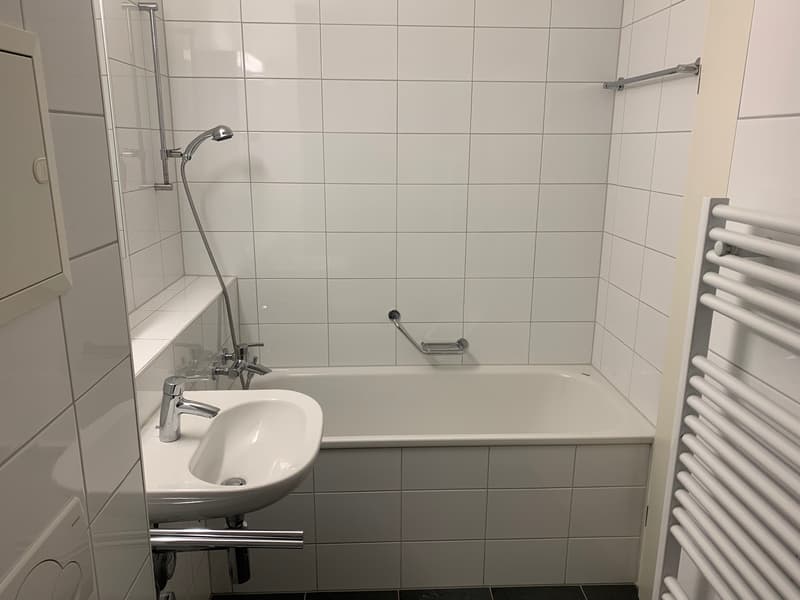 Charmante 2-Zimmerwohnung im Grünen (7)