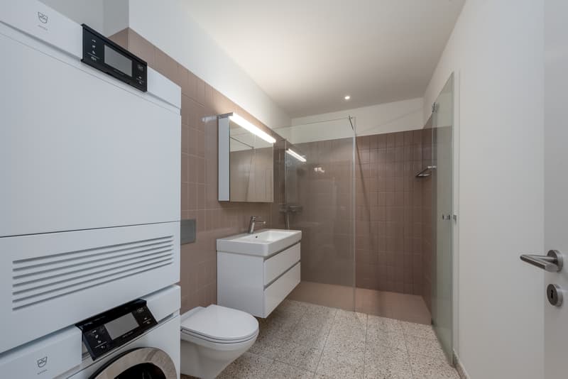 Moderne 1.5-Zimmerwohnung am Dreispitz - Nachmieter gesucht (5)