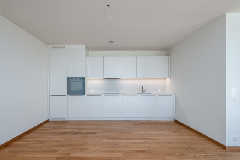 Moderne 1.5-Zimmerwohnung am Dreispitz - Nachmieter gesucht (3)