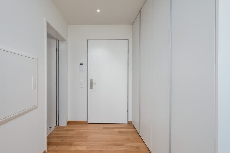 Moderne 1.5-Zimmerwohnung am Dreispitz - Nachmieter gesucht (4)