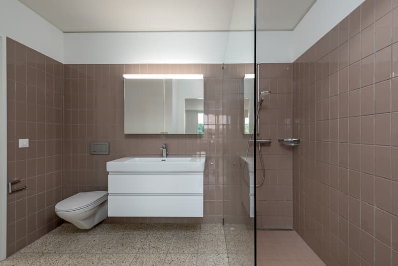 Moderne Wohnung direkt am Dreispitz (8)