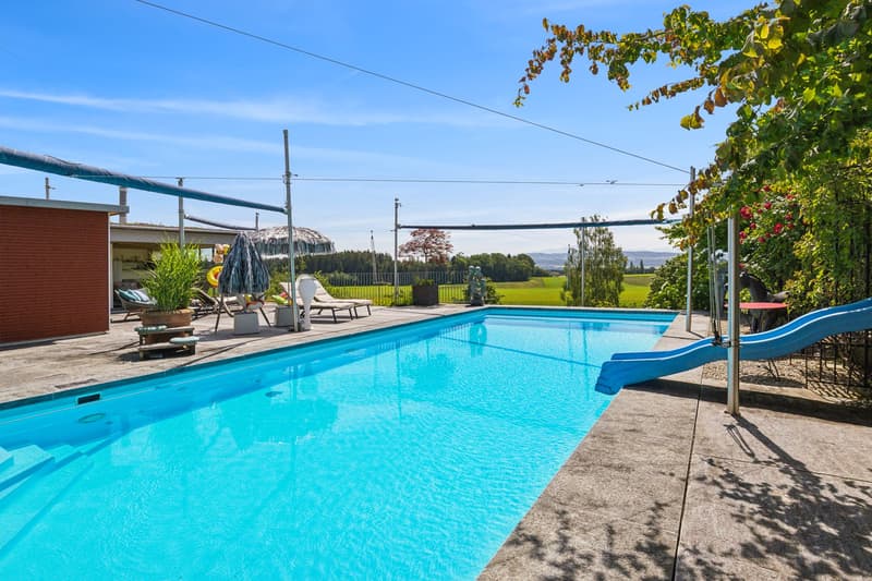 Swimming pool, lounge chairs, table, slide, potted plants, brick wall