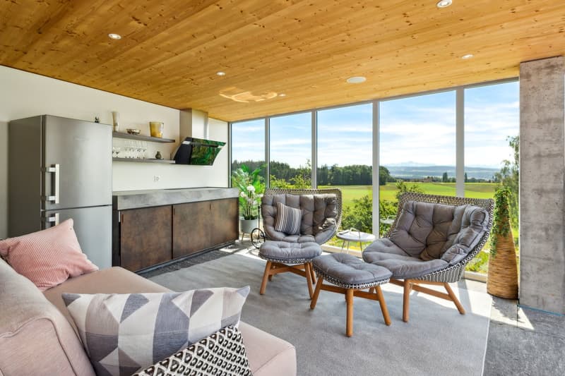 wooden ceiling, large windows, open area, view, sofa, chairs, carpet