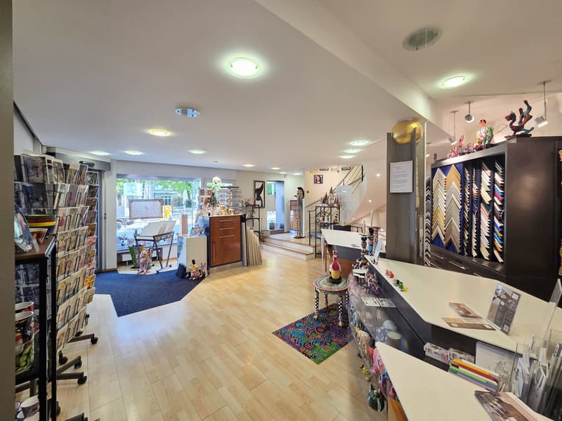 wooden floor, white walls, ceiling lights, display shelves, counter, blue carpet, decorative items