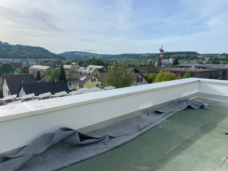 modernes Stadthaus mit Aussicht und Dachterrasse (9)