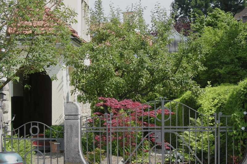5.5-Zimmer-Dachwohnung in historischen Wohnhaus (8)