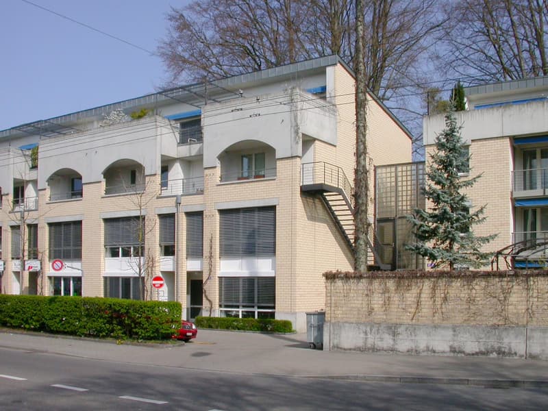 Urbanes Wohnen: 3.5-Zimmer-Maisonettewohnung in privater Parkanlage (2)