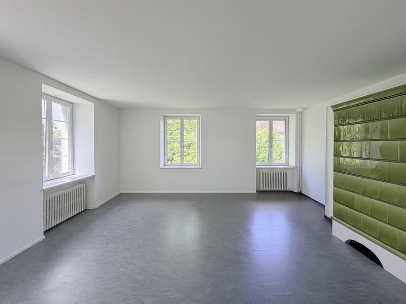 Zwischenvermietung: Grosszügige 5.5-Zimmer-Wohnung mit viel Privatsphäre in grüner Umgebung (4)