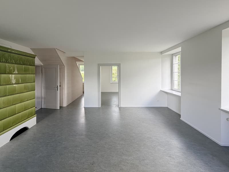 Zwischenvermietung: Grosszügige 5.5-Zimmer-Wohnung mit viel Privatsphäre in grüner Umgebung (2)