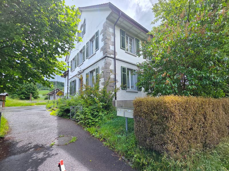 Zwischenvermietung: Grosszügige 5.5-Zimmer-Wohnung mit viel Privatsphäre in grüner Umgebung (13)