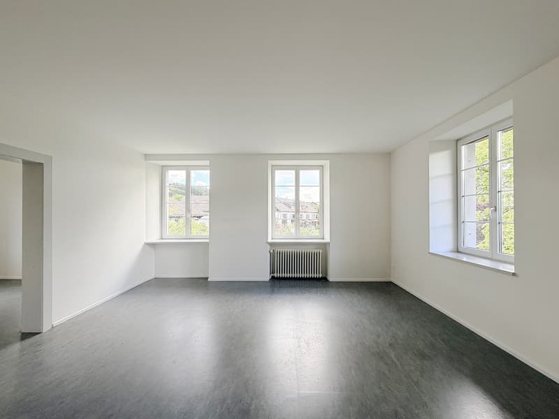 Zwischenvermietung: Grosszügige 5.5-Zimmer-Wohnung mit viel Privatsphäre in grüner Umgebung (3)