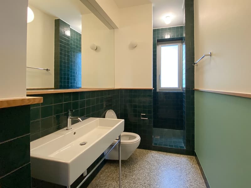 Wunderschöne, frisch sanierte 3-Zimmer-Wohnung im Parterre in St. Gallen (7)