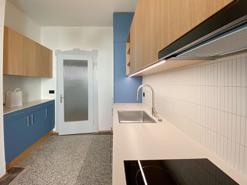 Wunderschöne, frisch sanierte 3-Zimmer-Wohnung im Parterre in St. Gallen (1)