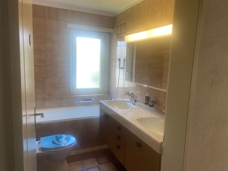 Charmantes 4.5-Zimmer-Reiheneinfamilienhaus in Oetwil am See (15)