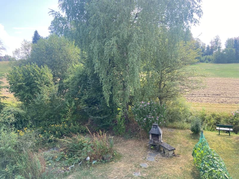 Charmantes 4.5-Zimmer-Reiheneinfamilienhaus in Oetwil am See (17)