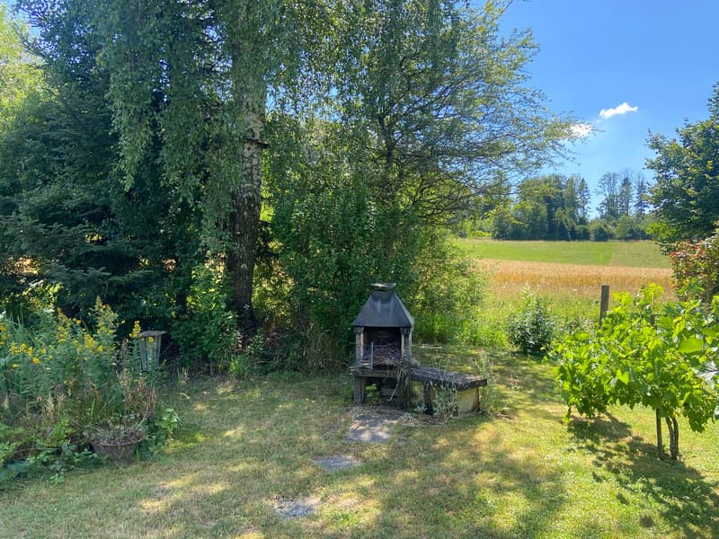 Charmantes 4.5-Zimmer-Reiheneinfamilienhaus in Oetwil am See (7)