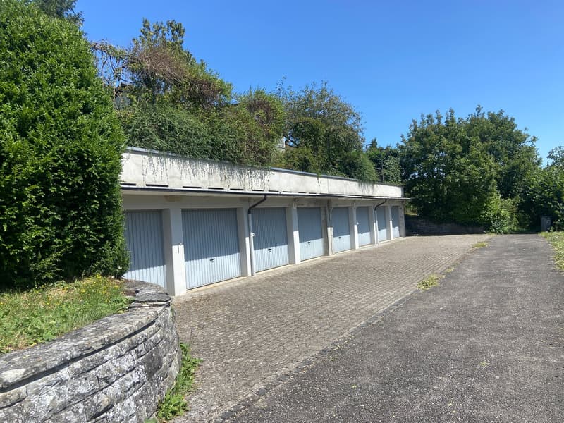 einseitig angebautes Einfamilienhaus mit separatem Garagengebäude und parkähnlicher Gartenanlage (8)