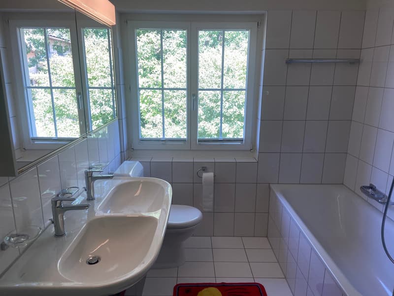 einseitig angebautes Einfamilienhaus mit separatem Garagengebäude und parkähnlicher Gartenanlage (14)