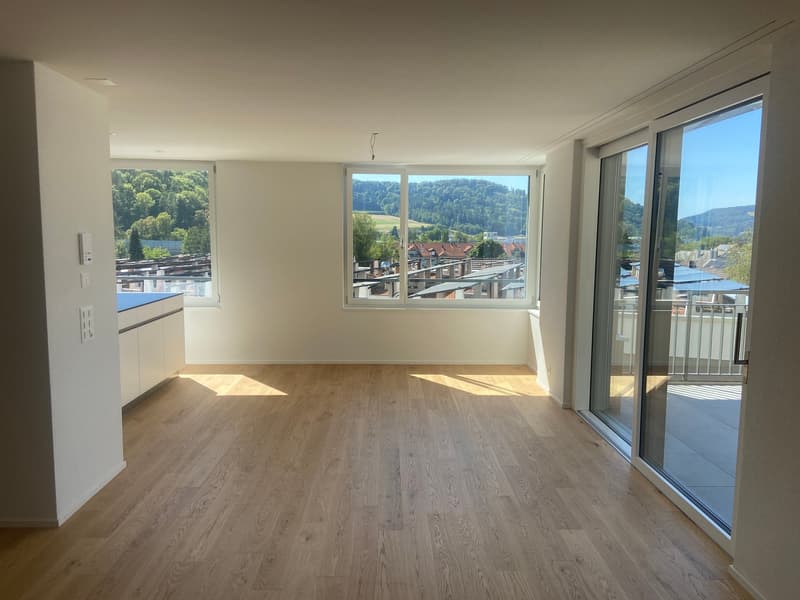 4.5-Zimmer-Doppeleinfamilienhaus an einzigartiger Hanlage (8)