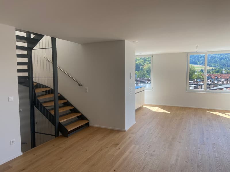 4.5-Zimmer-Doppeleinfamilienhaus an einzigartiger Hanlage (6)