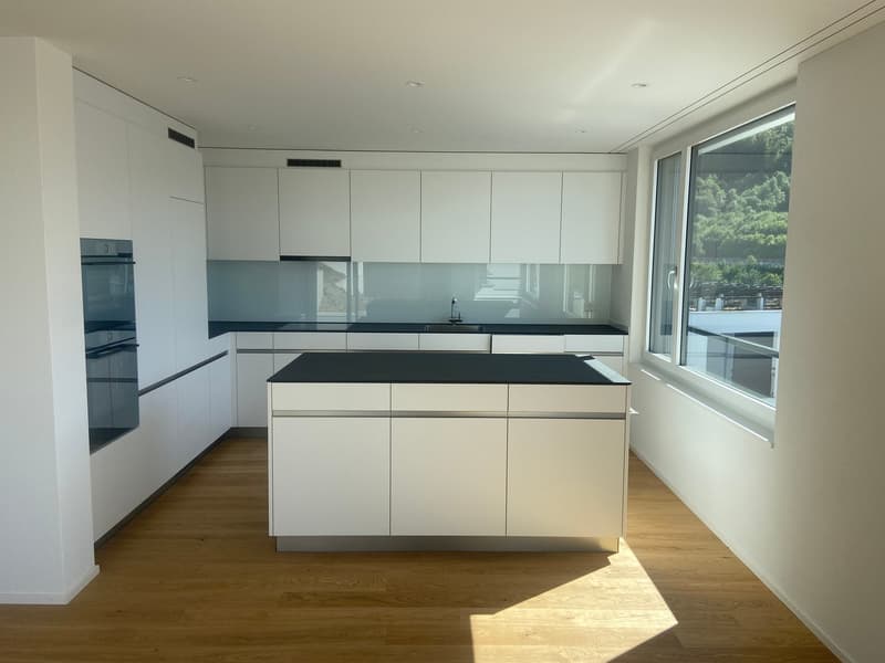 4.5-Zimmer-Doppeleinfamilienhaus an einzigartiger Hanlage (10)