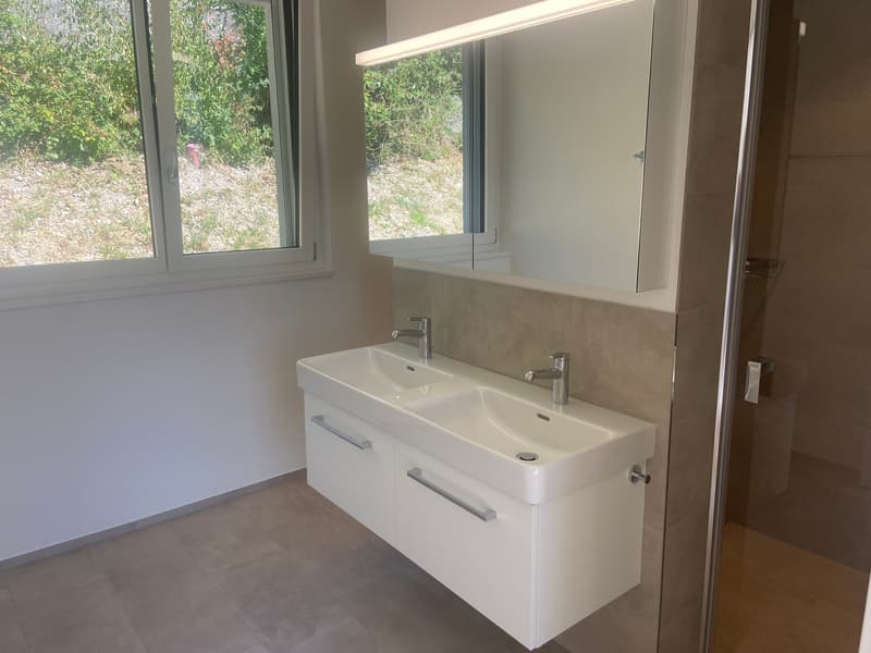 4.5-Zimmer-Doppeleinfamilienhaus an einzigartiger Hanlage (14)