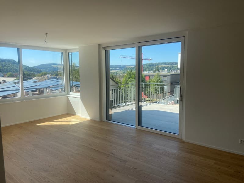 4.5-Zimmer-Doppeleinfamilienhaus an einzigartiger Hanlage (7)