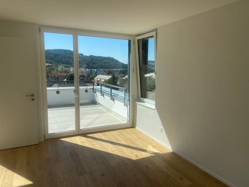 4.5-Zimmer-Doppeleinfamilienhaus an einzigartiger Hanlage (13)