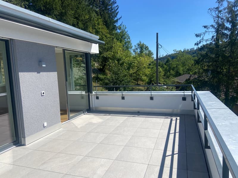 4.5-Zimmer-Doppeleinfamilienhaus an privilegierter Hanglage (18)