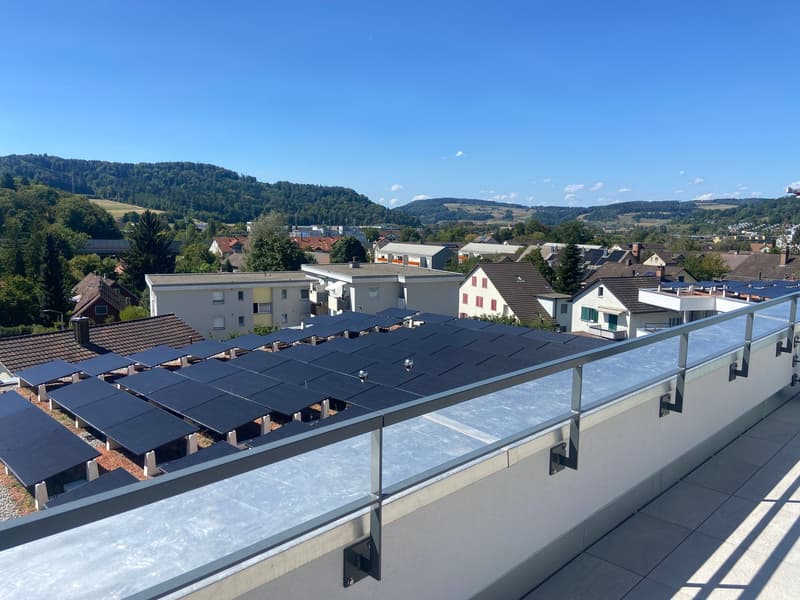 4.5-Zimmer-Doppeleinfamilienhaus an privilegierter Hanglage (19)