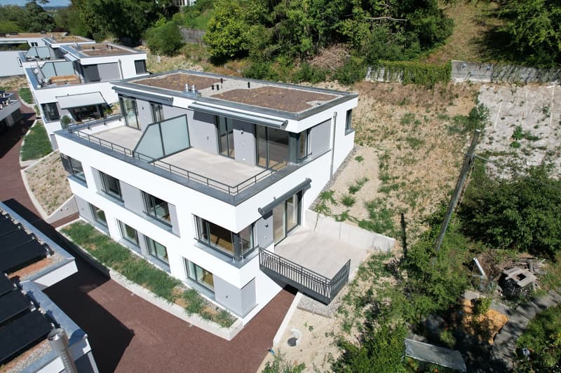 4.5-Zimmer-Doppeleinfamilienhaus an privilegierter Hanglage (2)
