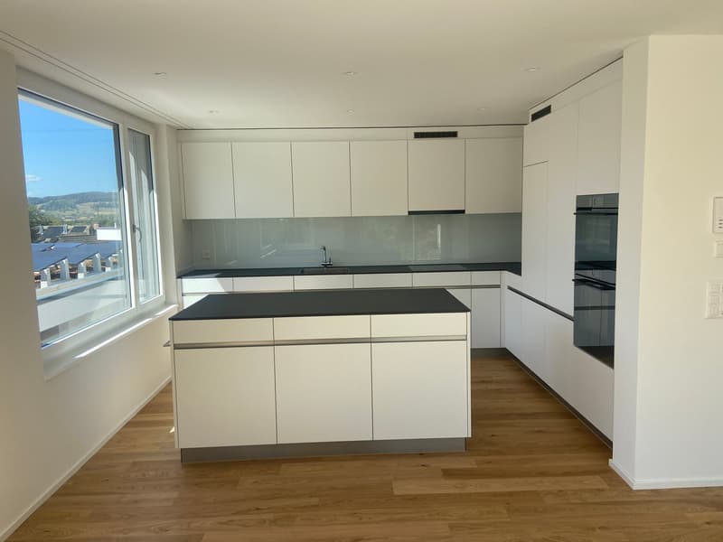 4.5-Zimmer-Doppeleinfamilienhaus an privilegierter Hanglage (11)