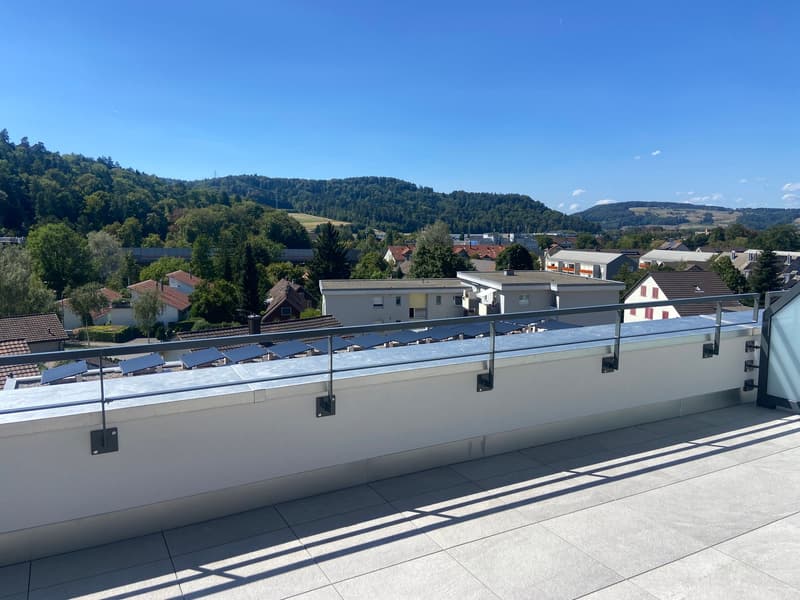 4.5-Zimmer-Doppeleinfamilienhaus an privilegierter Hanglage (20)