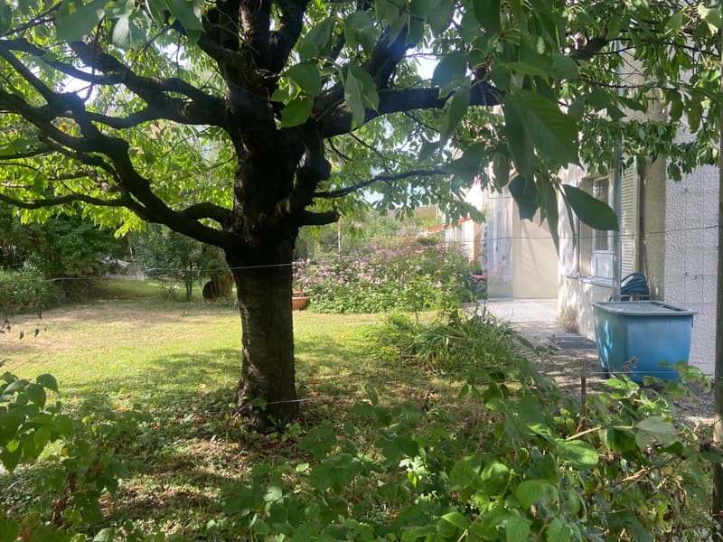 Charmantes 4.5-Zimmer-Reiheneinfamilien-Eckhaus mit Garten, Balkon und Garage in Veltheim (17)