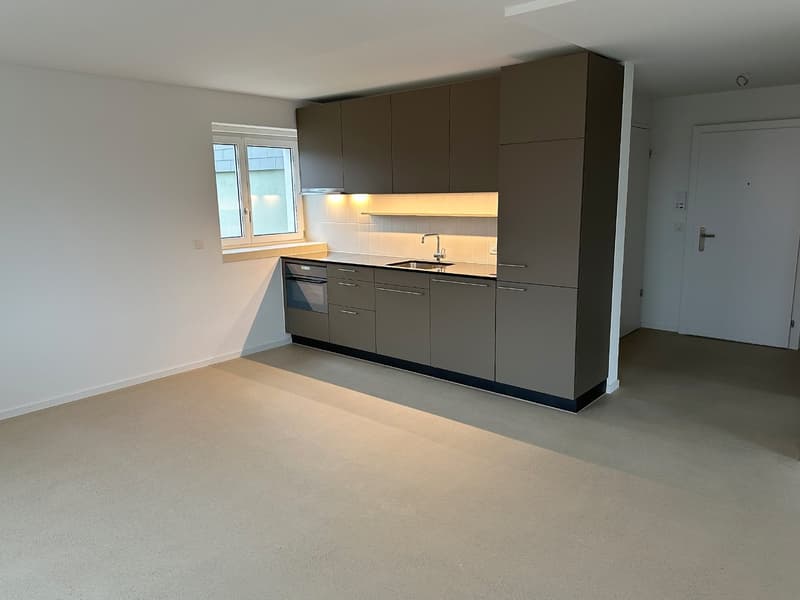 moderne 3.5-Zimmer-Wohnung an zentraler Lage (3)