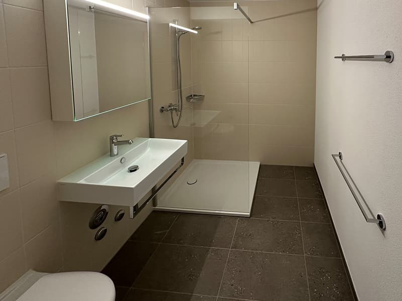 moderne 3.5-Zimmer-Wohnung an zentraler Lage (6)