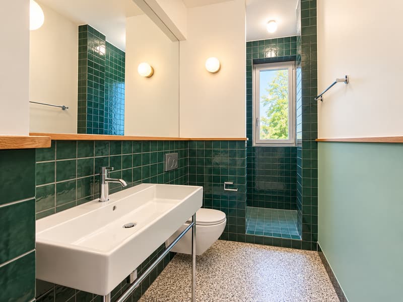 Liebevoll sanierte 3-Zimmer-Wohnung im Parterre in St. Gallen (6)