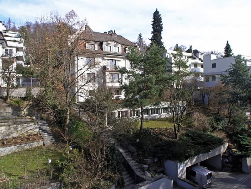 Goldauerstrasse 58, 8006 Zürich